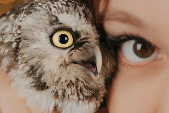 Efbet Casino Podpora